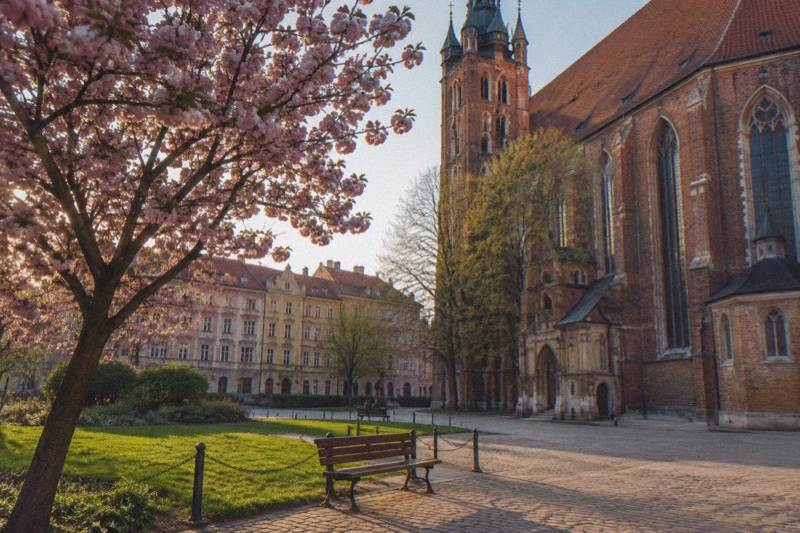 Free tour por el Casco Antiguo de Cracovia