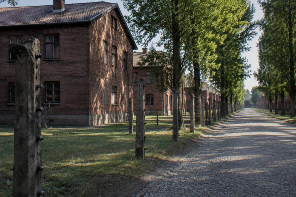 Barracones de ladrillo rojo y postes de hormigón bordean un camino de grava sombreado en Auschwitz-Birkenau.