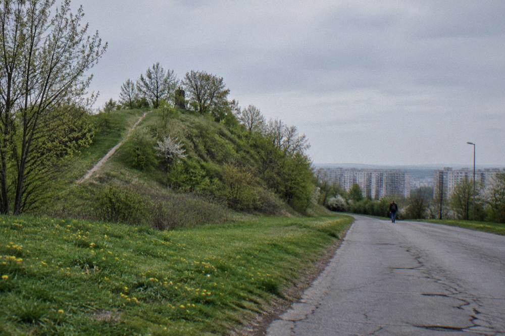 Grassy tree-covered mound beside a cracked quiet road, with dandelions, distant tower blocks and an overcast sky.