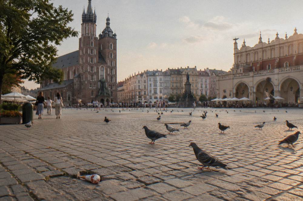 Pigeons stand on cobblestones in Krakow's Main Market Square with St Mary's Basilica, Cloth Hall arches, and townhouses behind.