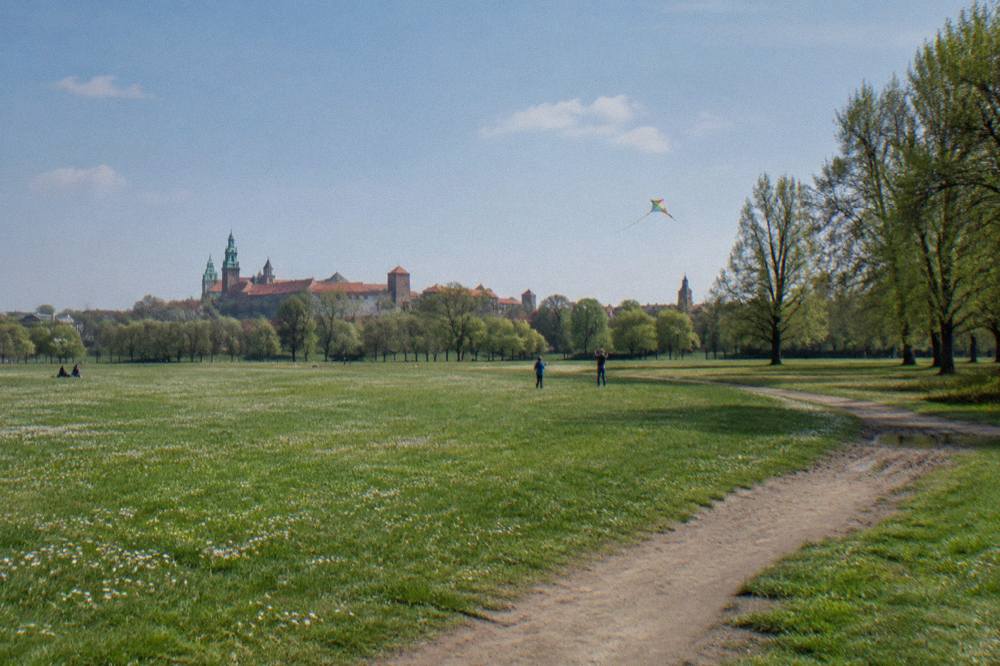 Wide grassy meadow with daisies, tall trees, a curving dirt path, distant people flying a kite, and Krakow skyline beyond.