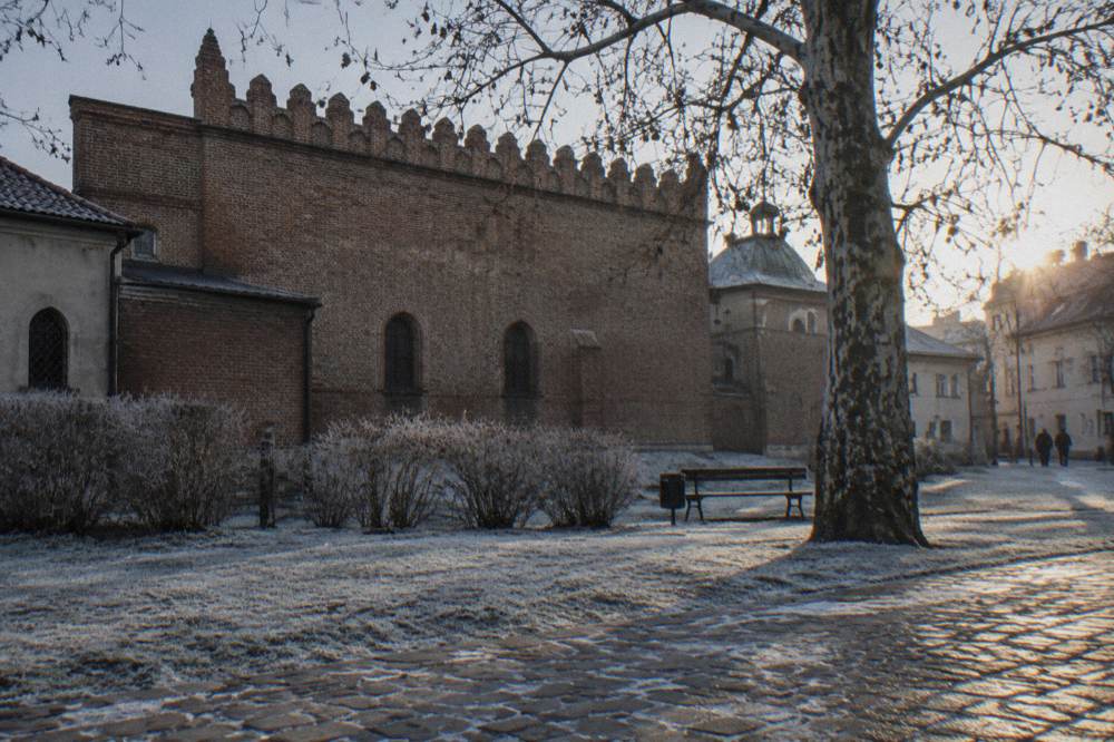 Frosted cobbles and shrubs lead to a crenellated brick synagogue wall beside a bare plane tree in low winter sun.