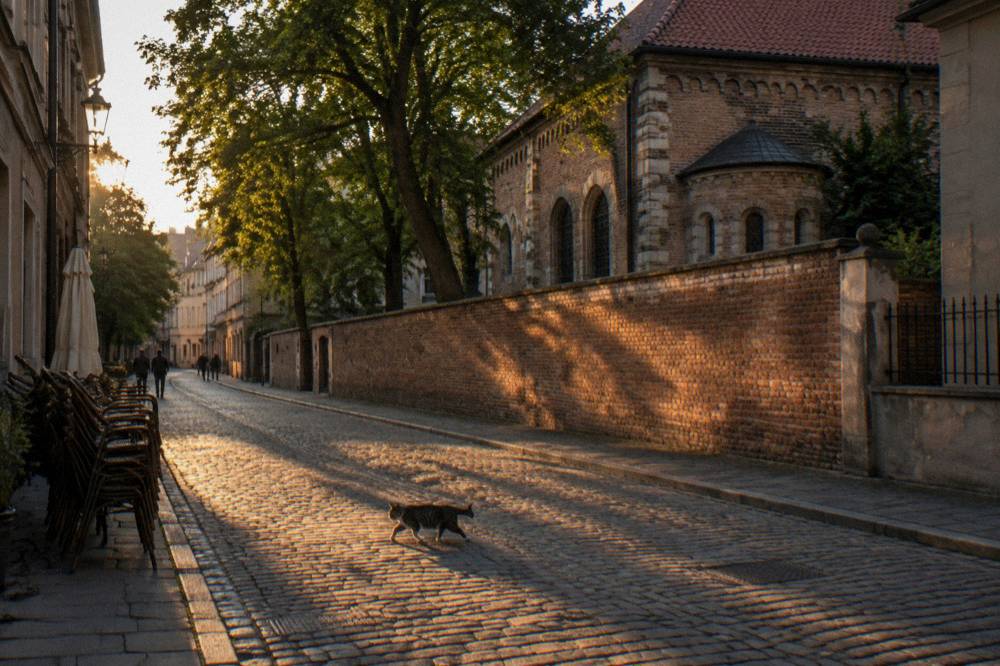 Calle histórica empedrada con sillas de café apiladas, muro de ladrillo de una sinagoga, árboles, peatones a lo lejos y un gato cruzando bajo la luz cálida del atardecer.