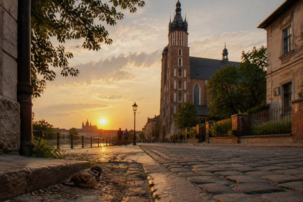 A sparrow rests on wet cobbles beside a riverside path at sunset, with a brick church tower and Wawel silhouette in the distance.