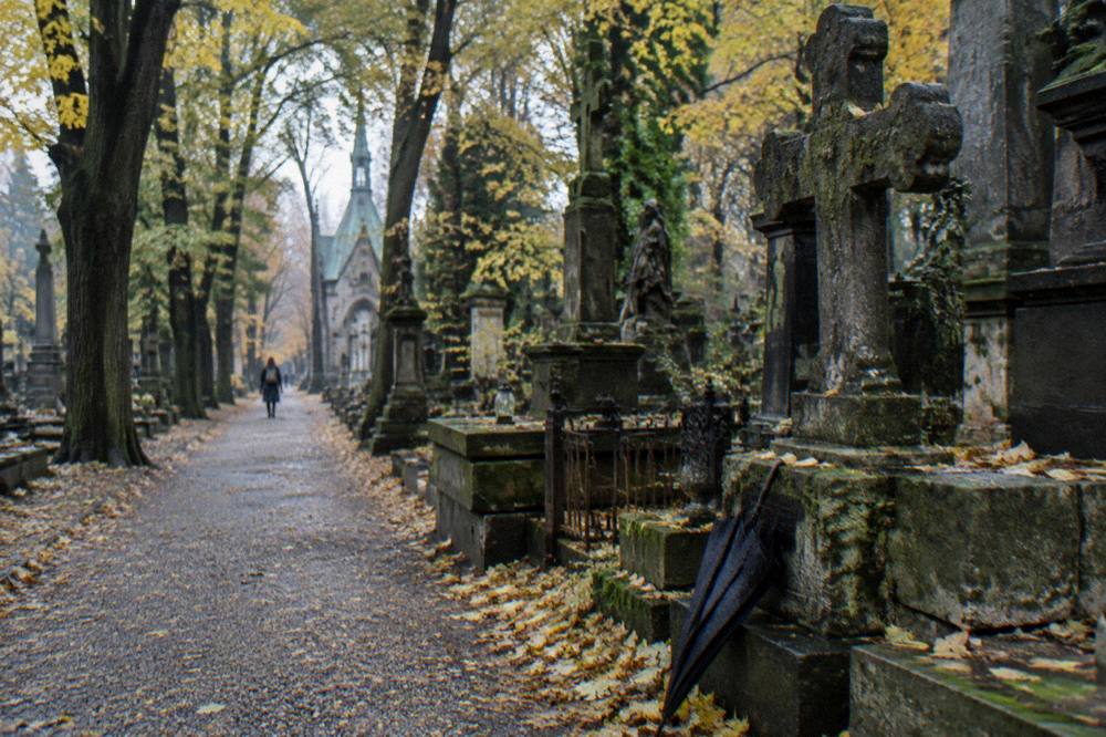 A gravel cemetery path passes old stone graves and crosses under autumn trees, with a black umbrella leaning against a mossy monument.