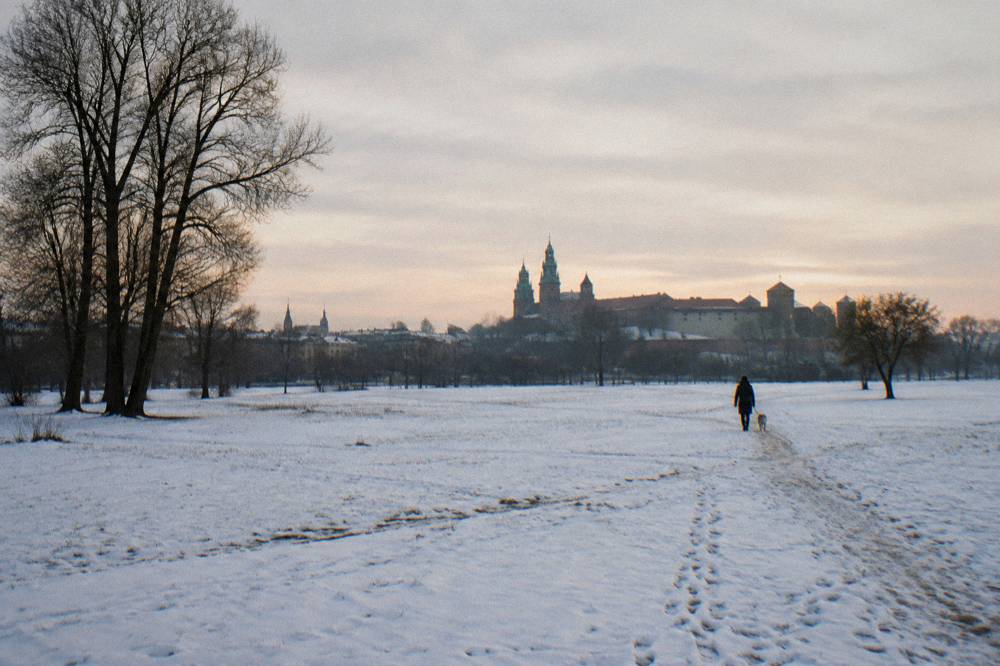 Prado nevado con árboles desnudos, el perfil lejano del castillo de Cracovia y un paseador de perros bajo un cielo gris de invierno.