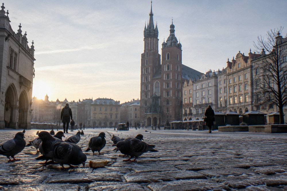 Pigeons peck at frosty cobbles in Krakow's Main Market Square with St Mary's Basilica and historic townhouses at dawn.